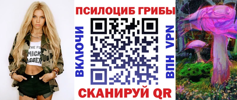 blacksprut ССЫЛКА  Белая Калитва  Галлюциногенные грибы Psilocybe 