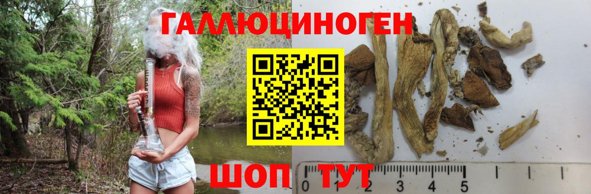 Галлюциногенные грибы мухоморы Белая Калитва