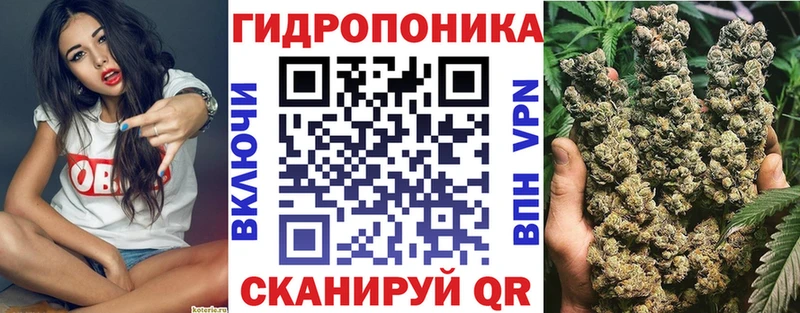 Шишки марихуана семена дарнет шоп Белая Калитва
